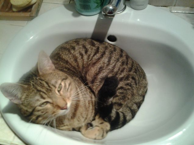 gualtierotto al fresco