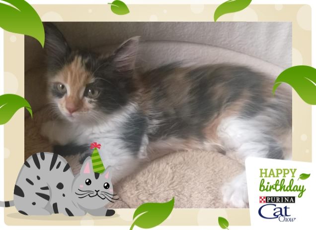 River pomeriggio in relax