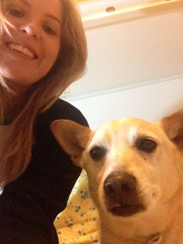 Metti una sera con Snoopy