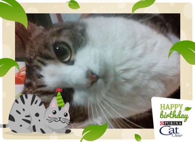 arrabbiatissima.....grrrrrrr