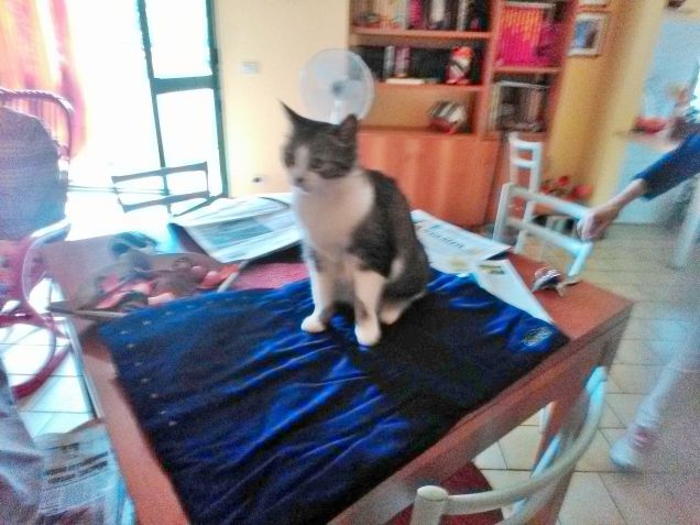 grazie della copertina