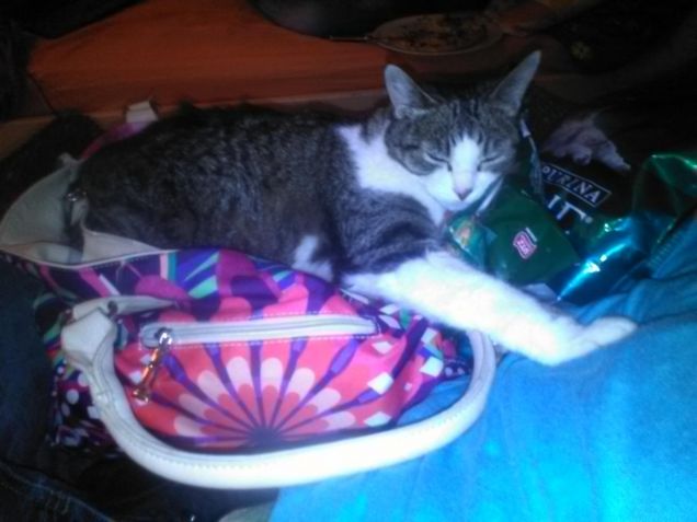 la borsa è miaaaaaaaaaa