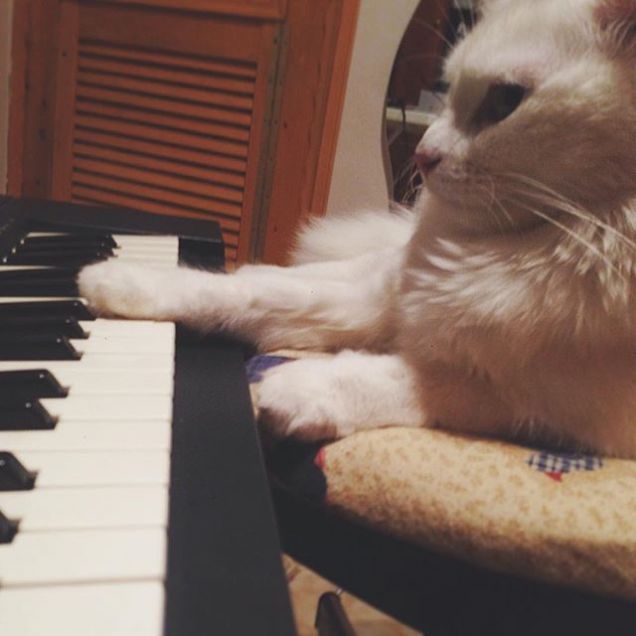 Neve suona la pianola!