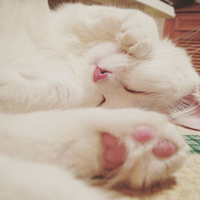 Riposino pomeridiano!