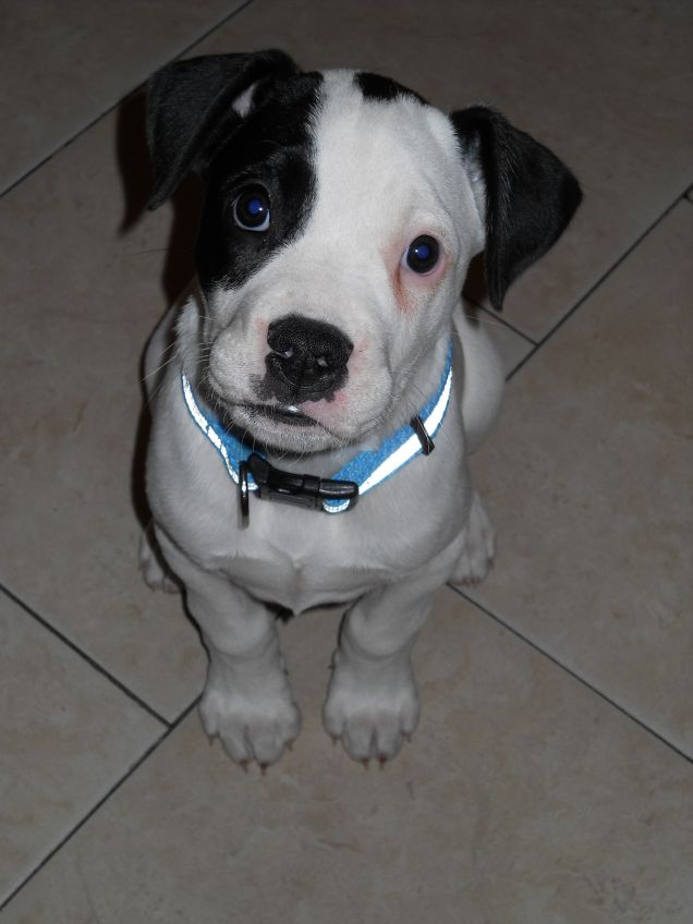 Sembro bravo, ma è tutta apparenza.... ;)