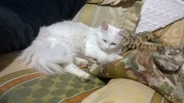 ...comodo il divano.....