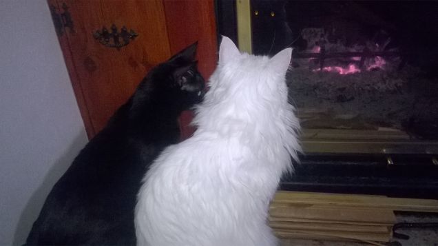 ..bel fuocherello...