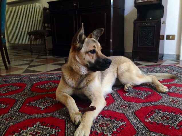 Pucca sul .....red carpet!!!