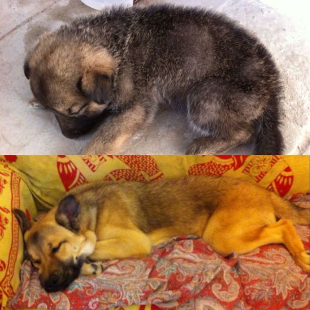 Pucca dormigliona prima e dopo