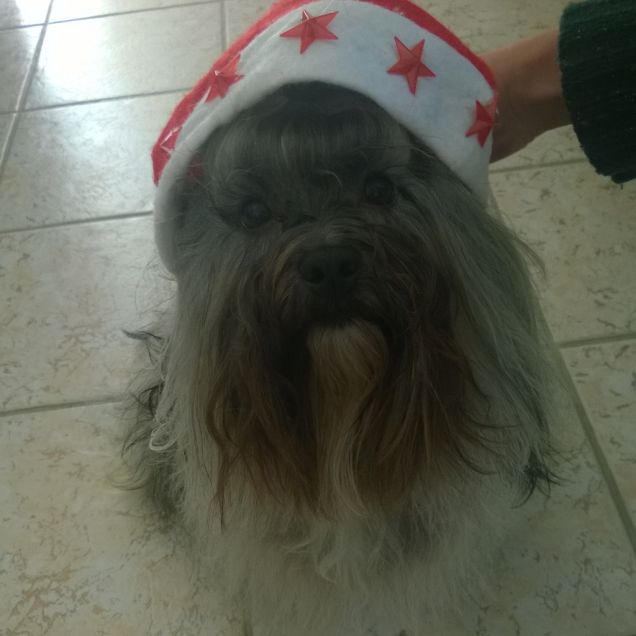 lo amo perché mi ha insegnato ad amarlo!