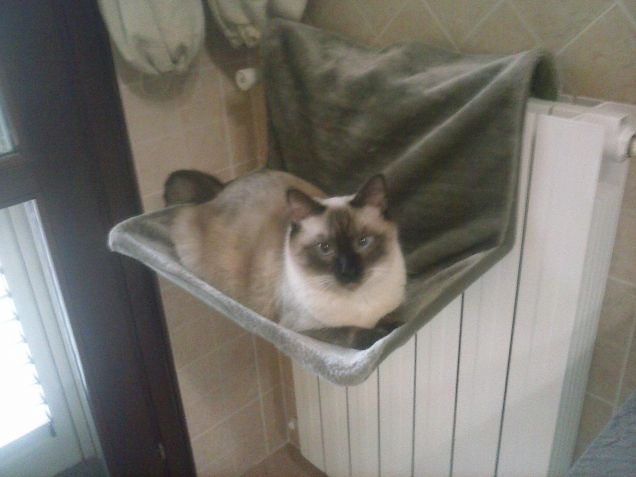 Lilith al radiatore!