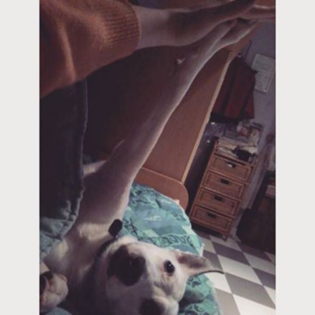 Schiaccia il cinque! 