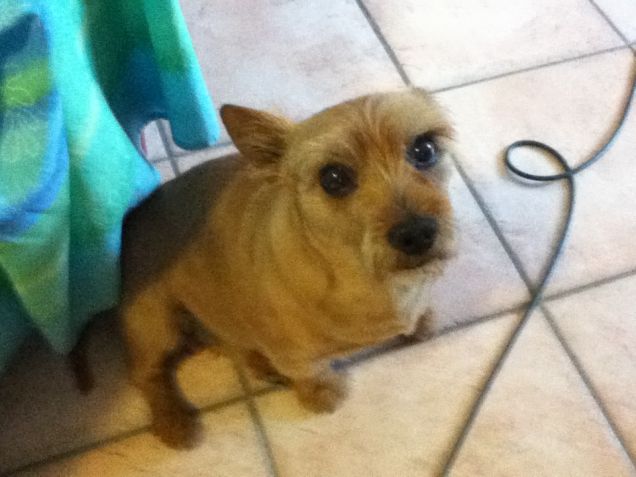 GUARDA COME SON BELLO!