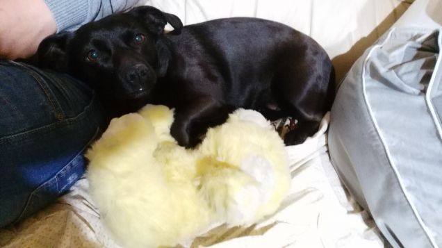 Bianca e il suo amico peluche