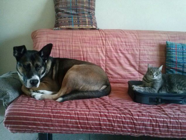 zeus  insieme a trilly