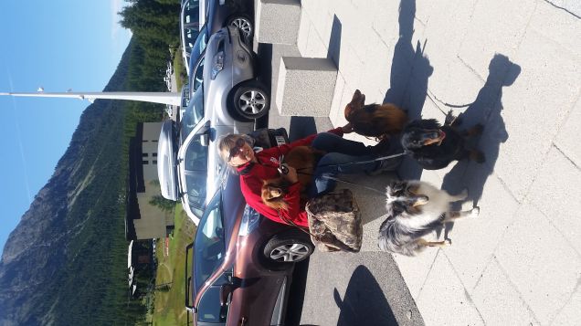 janvier oscar dada liz in vacanzagility