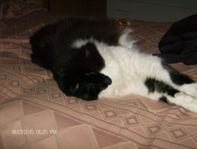 Sule letto si riposa meglio !