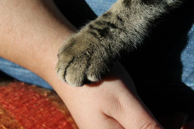 io e la mia mamma umana ...