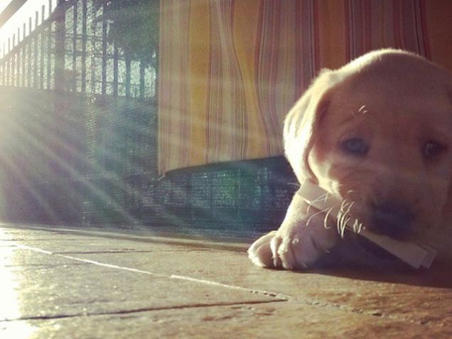 Il sole bacia i belli.