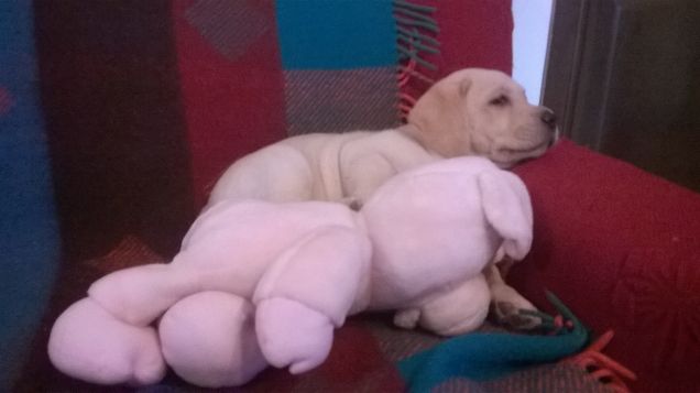 Io e il mio migliore amico.