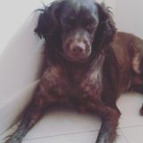 sonia