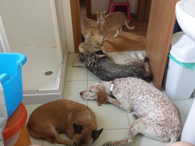 Solo per una questione di privacy ... :-D