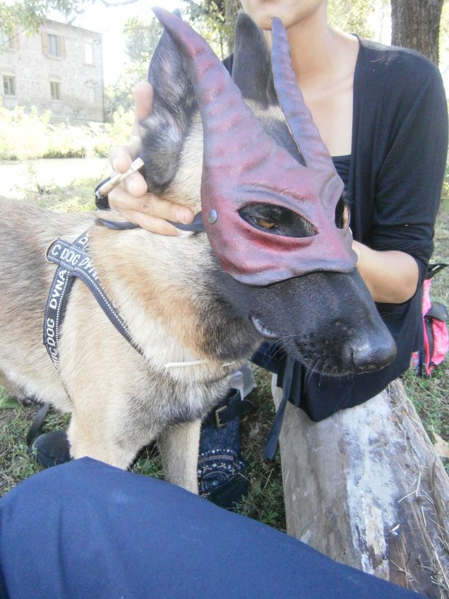 Rappresentazione medievale a Castell'arquato 2014
