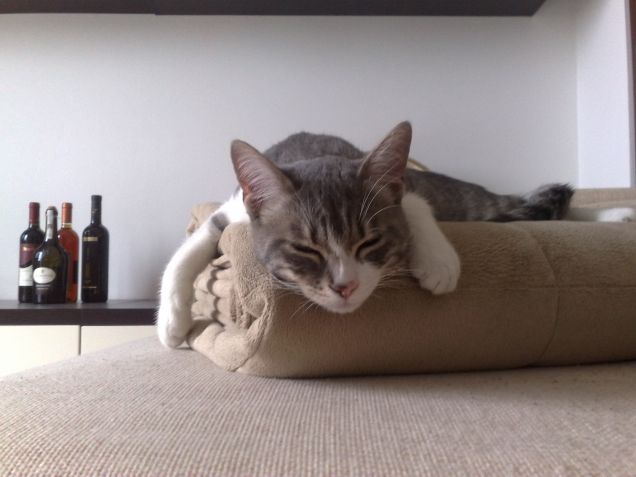 Titti che fa la nanna...