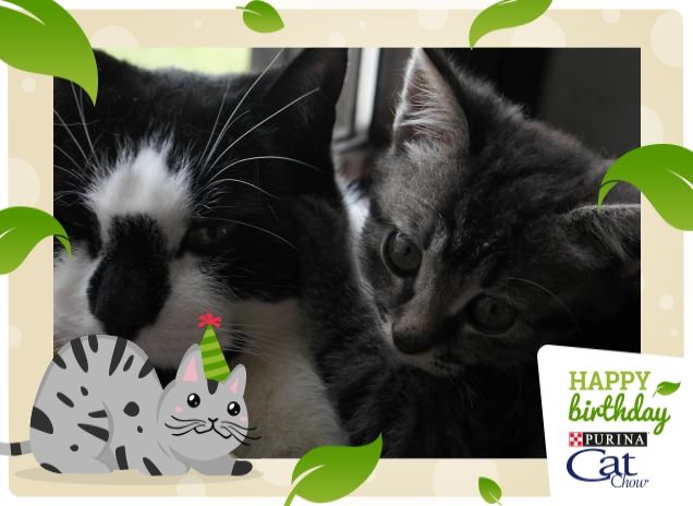 QUA DENTRO SI STA STRETTI!