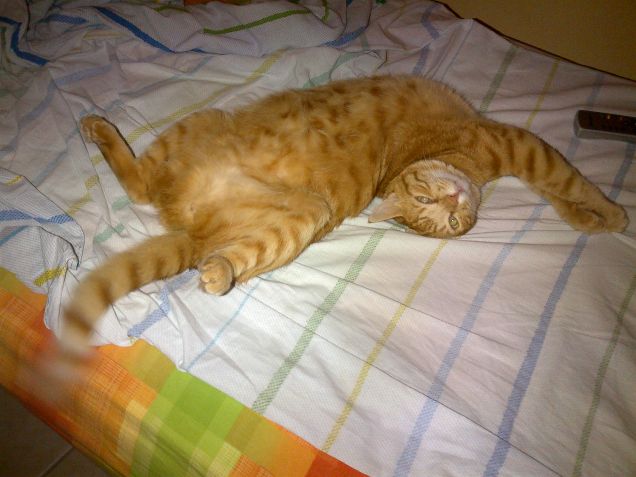 ... che spettacolo che sono .....