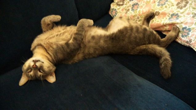 Dormire in posizioni improbabili