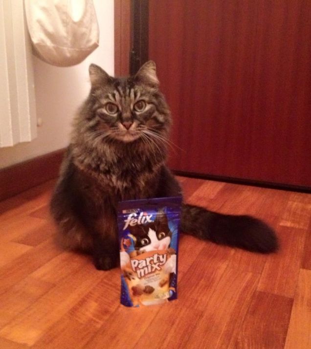 Leo con lo snack Felix 