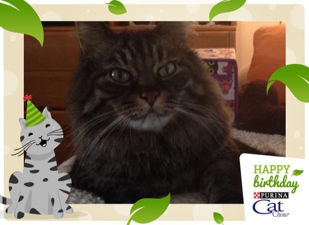 Piove e Leo non si muove