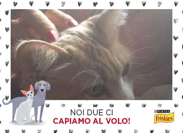 Io Fiocco e il divano