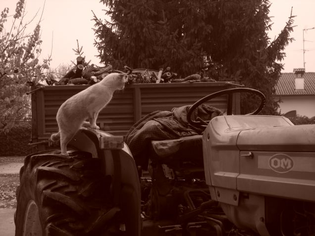 Anticipo d'autunno pt.2