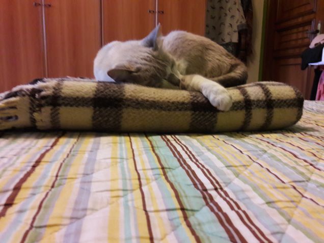 Pomeriggio tranquillo