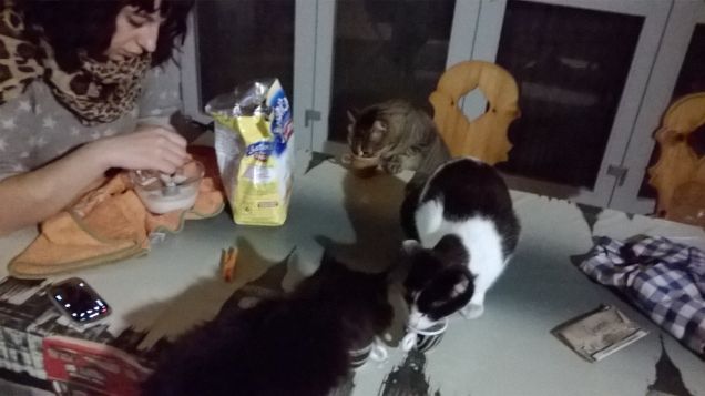 mai saltare la colazione