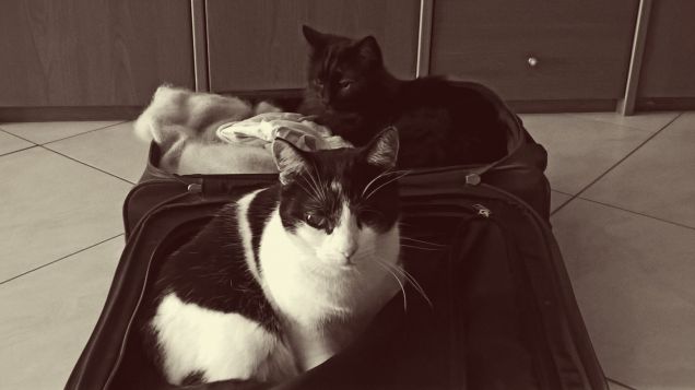 allora....partiamo??