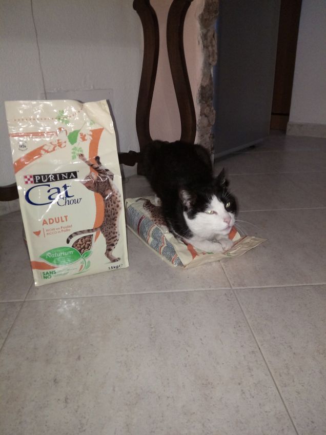 Purina Cat Chow Adult!!