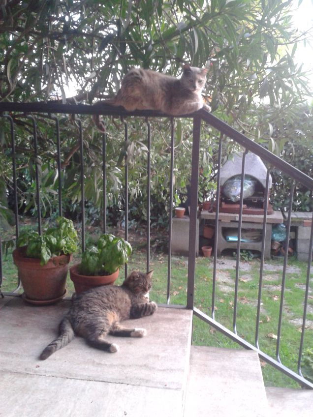 Prue e mimi le vedette!