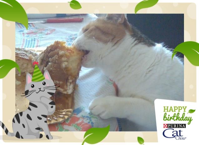 HappyBirthdayCatChow