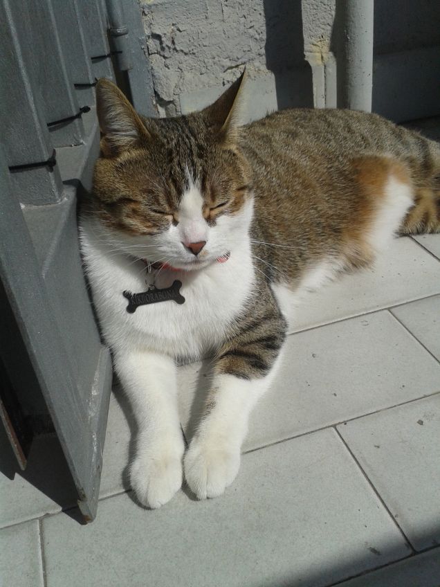 fuori al balcone a prendere sole