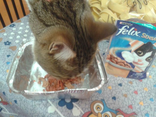 gusto nuovo sgombro e pomodoro