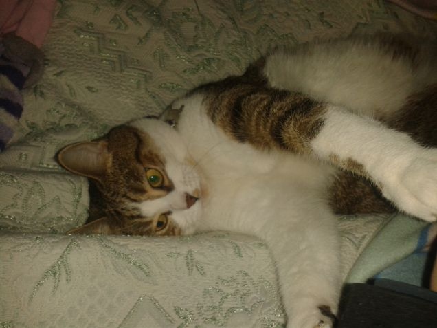 kiki