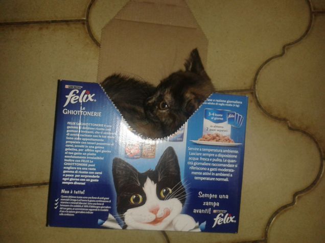 Agata e  le ghiottonerie