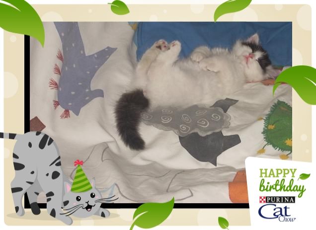 Non è adorabile il mio Rocco??!!