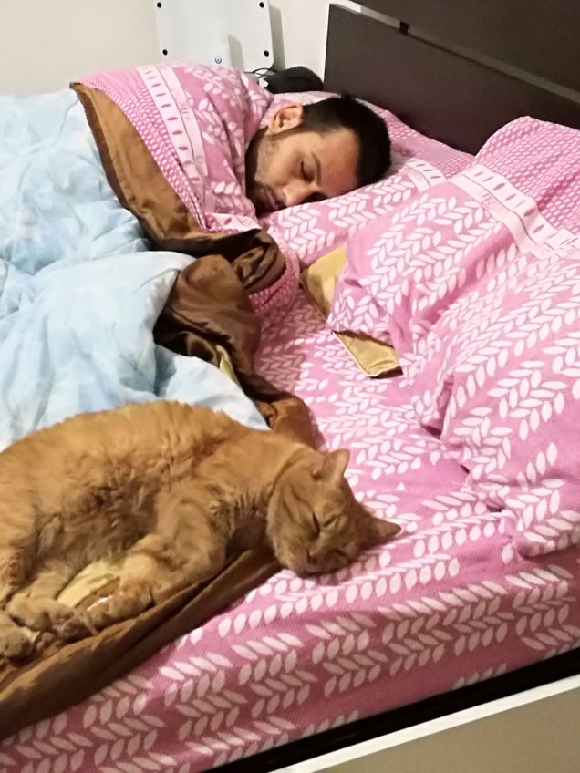 Felix e il suo papà