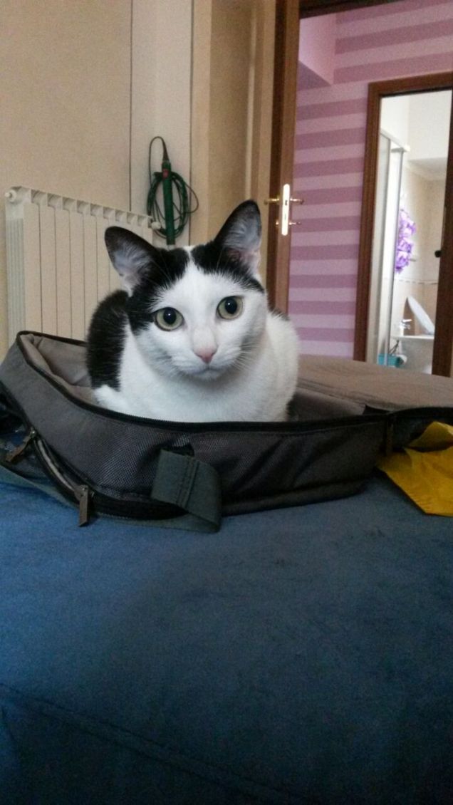 Portami sempre con te