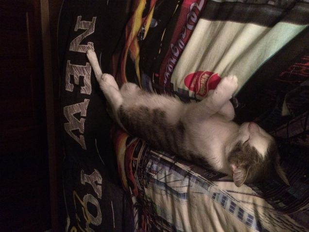 La nanna si fa solo nel lettone