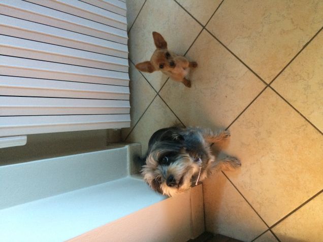 Con la nostra amica tequila